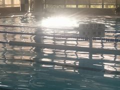 -中共上海市委党校 上海行政学院