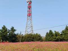 -羊亭河湿地公园