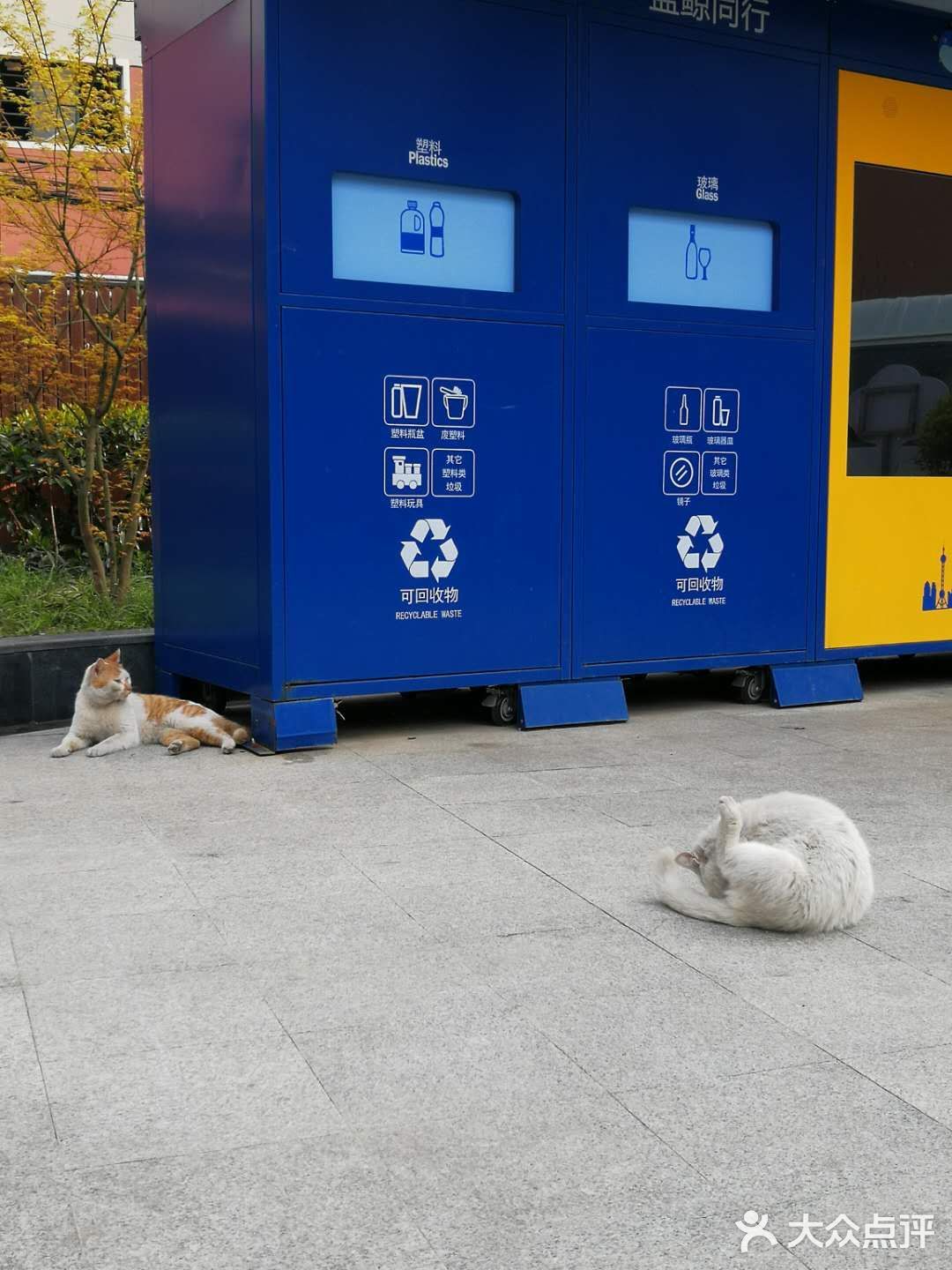 阳光明媚的日子，在小区里抬头看看蓝天白云