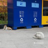 阳光明媚的日子，在小区里抬头看看蓝天白云