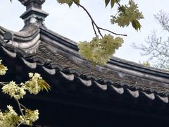 -巡塘古镇