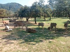 -西安秦岭野生动物园