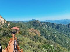 -大岭沟猕猴桃谷风景区