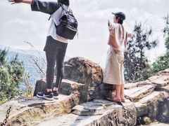 -铁山坪森林公园