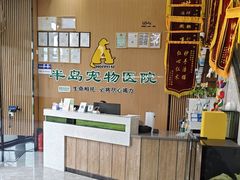 -半岛宠物医院24小时·内窥镜·牙科·碎石中心(府城大道店)