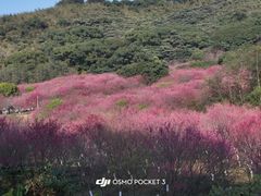 -福清灵石山国家森林公园