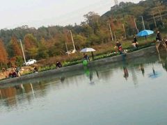 android_upload_pic-荔枝红五号农庄