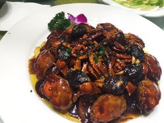 -上海精菜馆(虎踞关店)