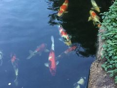 -台山颐和温泉城