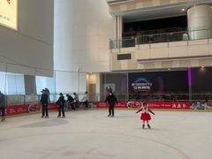 -冰纷万象滑冰场(二七万象城店)