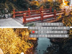 -中国茶叶博物馆(双峰馆区)