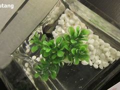 -杭州西湖桔子水晶酒店