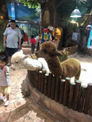 -宝燕乐园(闵行旗舰店)