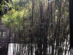 -绮园景区