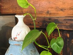 -月栖华明-云间草堂清茶馆(泗泾古镇店)