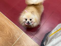 -和它·交个朋友·狗咖猫咖(爱琴海店)