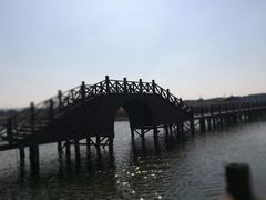 -荷塘月色湿地公园·向阳花洲