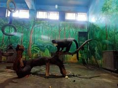 -西安秦岭野生动物园