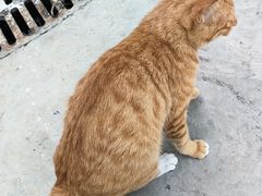 -徐小姐地锅鸡(铜山万达店)