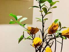 -梅间堂茶馆(绿地缤纷城店)