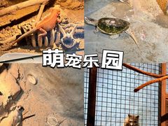 -厦门老院子景区