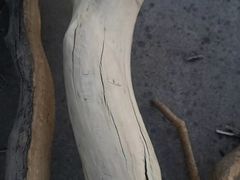 -兰陵国家农业公园