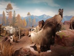 -陕西自然博物馆