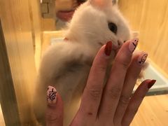 -屋虎猫馆(宝安大仟里店)