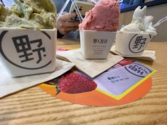 -野人先生现做冰淇淋(北京环宇荟店)