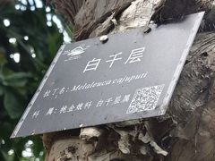 -南宁南湖公园