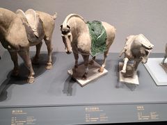 -贵州省博物馆(新馆)