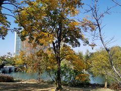 -同济大学·食堂(嘉定校区)