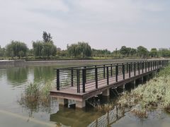 -郑东新区龙湖公共艺术中心