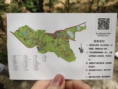 -南山植物园