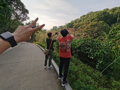 -云溪植物园