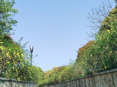 -宝界山林公园