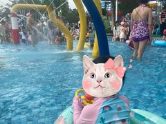 -苏州乐园森林水世界