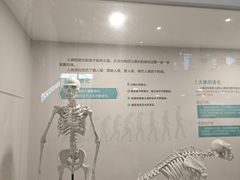 -山东省科技馆(新馆)