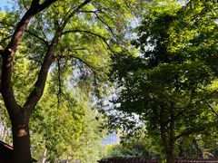 -莲花池公园