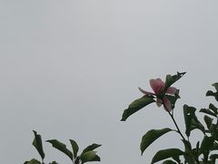 -九里河湿地公园