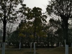 -天屿湖