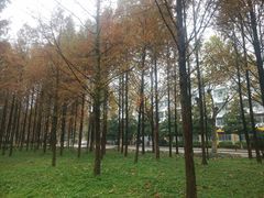 -河海大学(江宁校区)