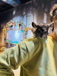 -酷嗒动物文化乐园(cutezoo西溪乐天城店)