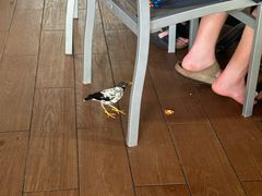 -新加坡水上探险乐园