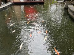 -深圳华侨城洲际大酒店