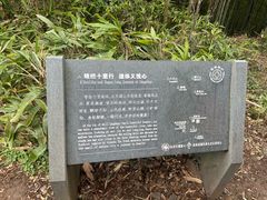 -十里琅珰