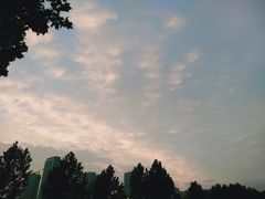 -山东理工大学