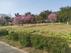 -傅家庄公园