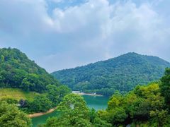 -桃花岭景区