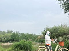 -塘沽森林公园